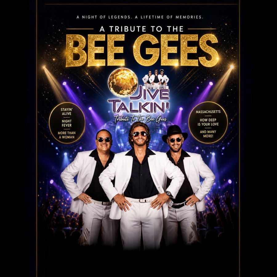 Retro Tribute Band Performing Classic Disco Hits