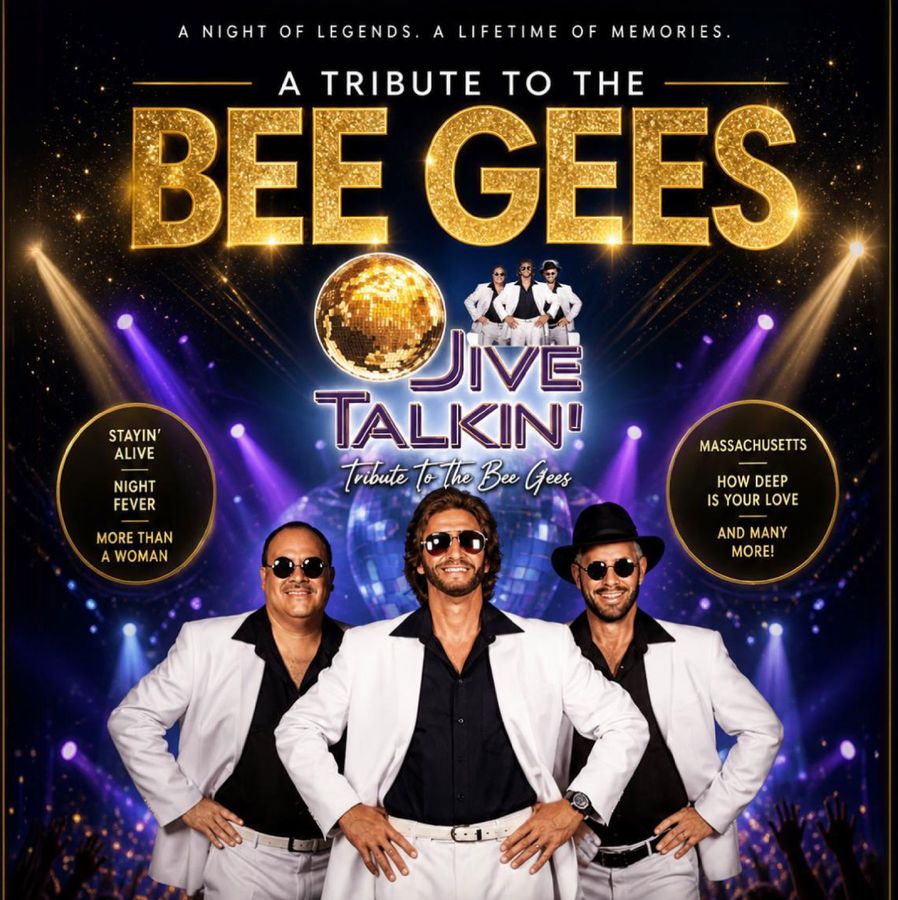 Retro Tribute Band Performing Classic Disco Hits