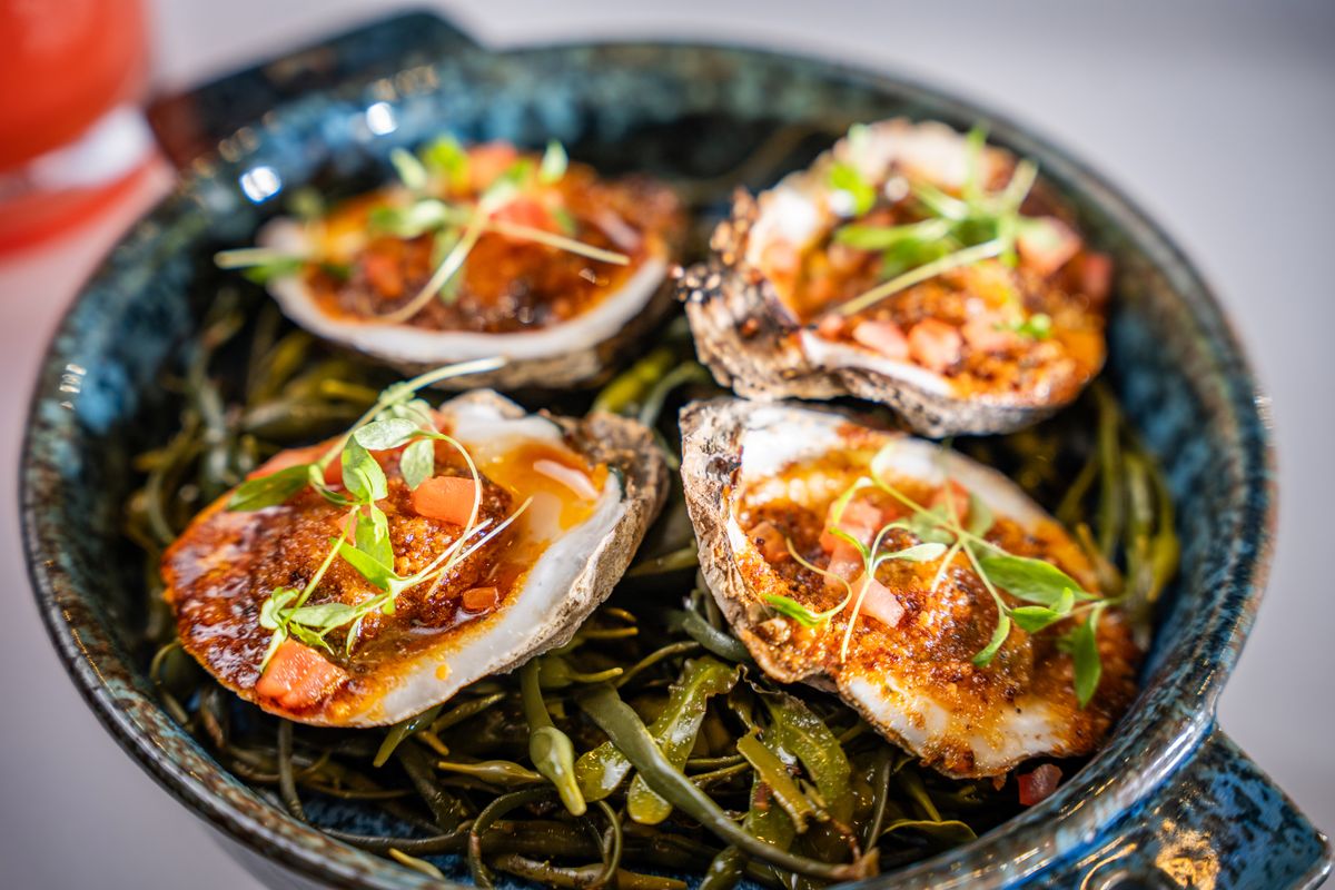 Small Plate at Judson's Live